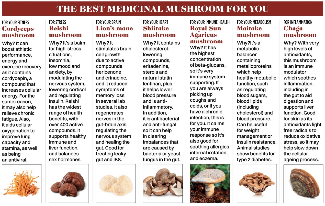 Medicinal mushrooms: 7 types and their health benefits