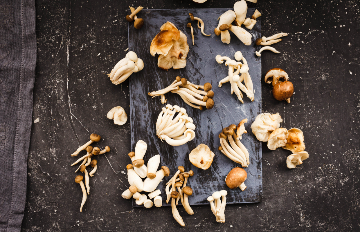 Medicinal mushrooms: 7 types and their health benefits