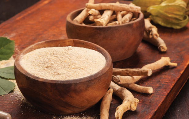 Ashwagandha in the Age of Stress