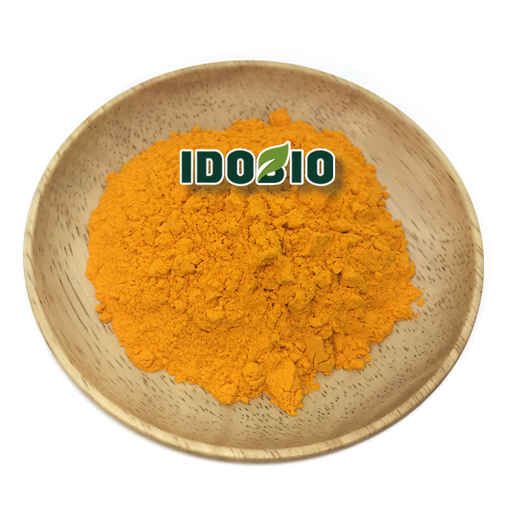 Turmeric Extract Curcumin 95% 10%  