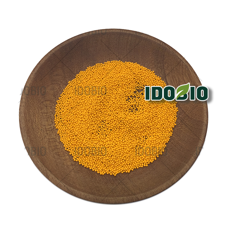 Turmeric Extract Curcumin 95% 10% 