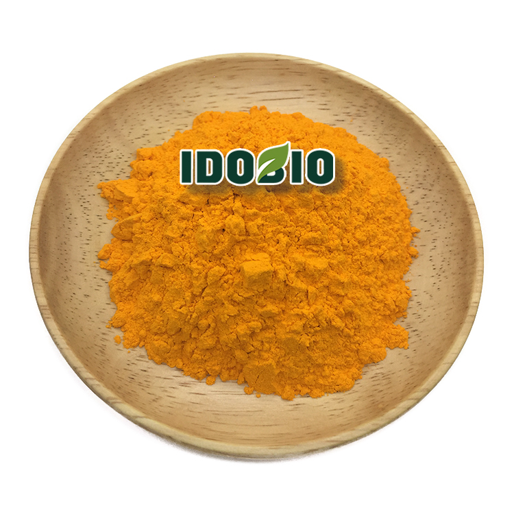 Turmeric Extract Curcumin 95% 10% 