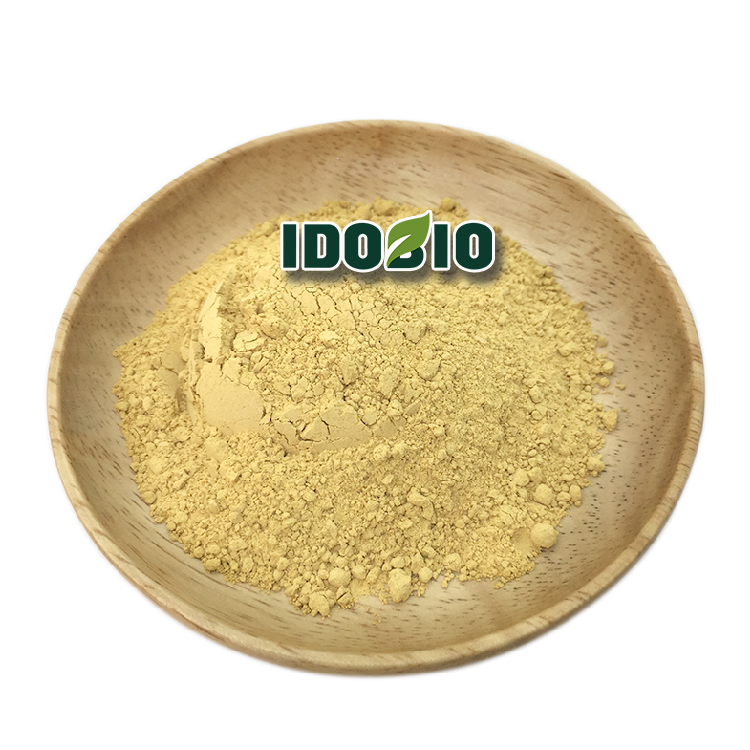 Radix Notoginseng Extract Notoginsenoside 80%