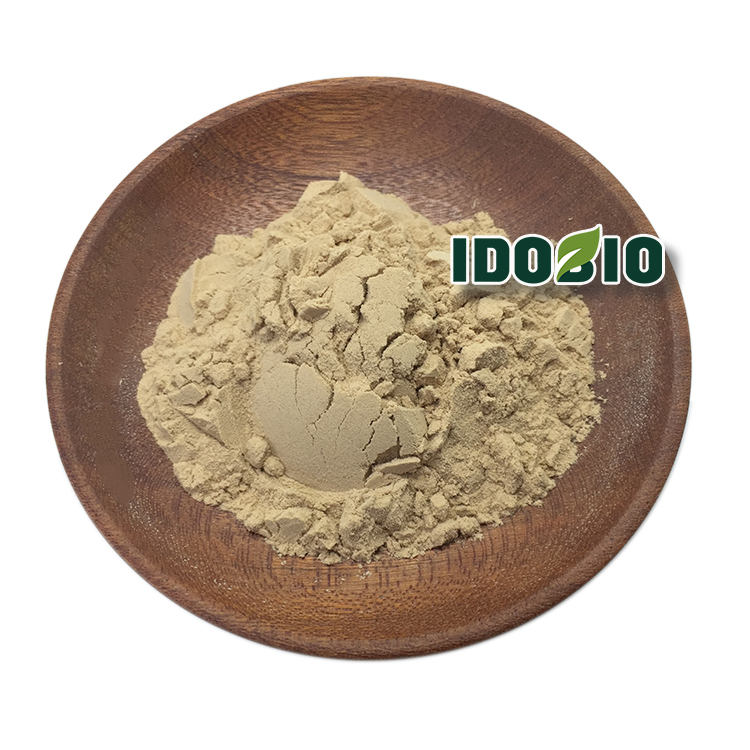 Paeony Extract Paeoniflorin 50% 