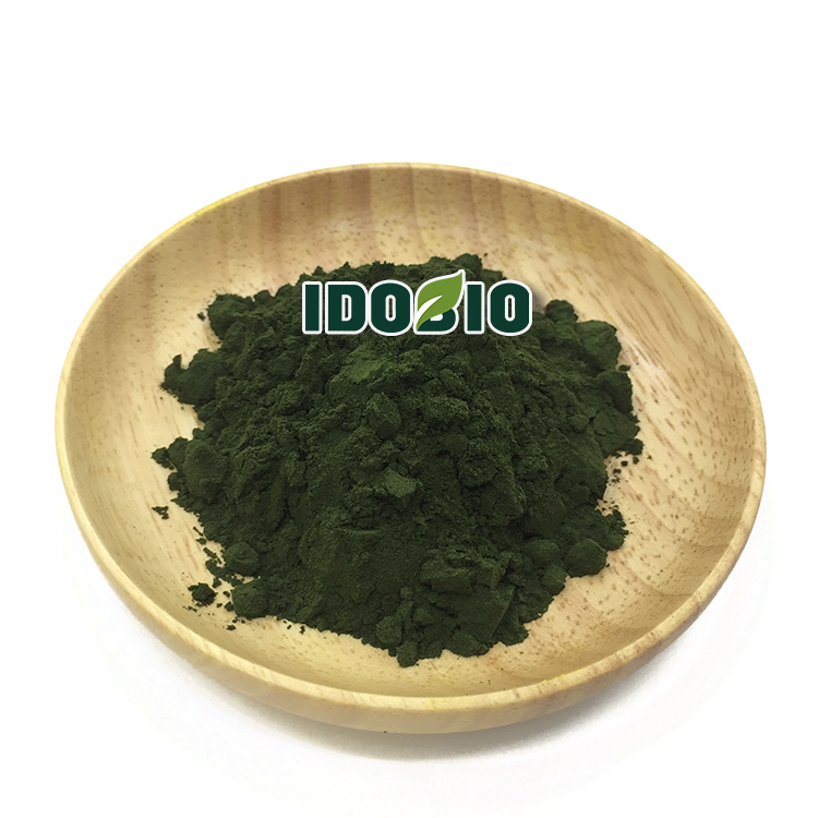 Freeze Dried Nannochloropsis Powder