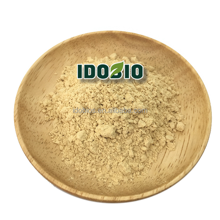 Lion Mane Mushroom Extract Powder 