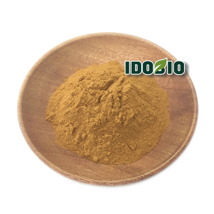 Echinacea Extract Polyphenol 4% Chicoric acid 5%